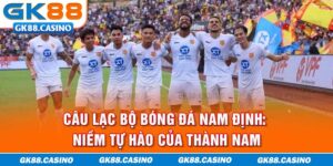 Câu lạc bộ bóng đá Nam Định